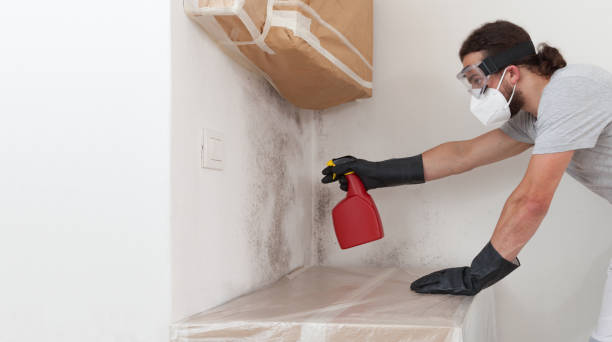 Professional Black Mold Remediation technician working in Clifton, VA