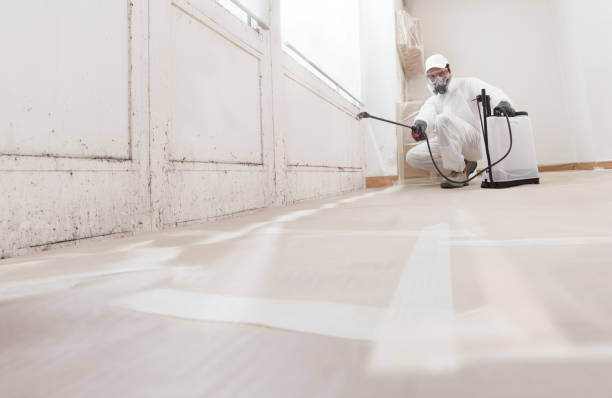 24/7 Emergency Black Mold Remediation experts in Clifton, VA