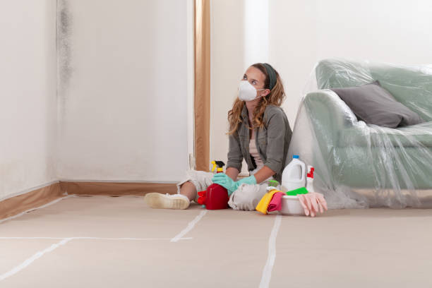 Reliable Black Mold Remediation contractor in Clifton, VA by 24 Hour Mold Removal